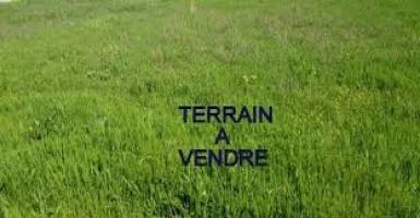 Abidjan immobilier | Terrain à vendre dans la zone de Autre à 2 000 000 FCFA  | Abidjan-Immobilier.net