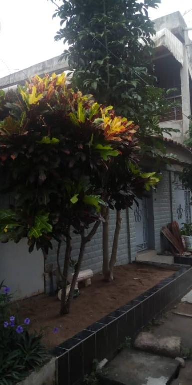 Abidjan immobilier | Maison / Villa à vendre dans la zone de Port-Bouet à 75 000 000 FCFA  | Abidjan-Immobilier.net