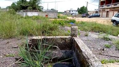 Abidjan immobilier | Terrain à vendre dans la zone de Grand-Bassam à 22 000 000 FCFA  | Abidjan-Immobilier.net