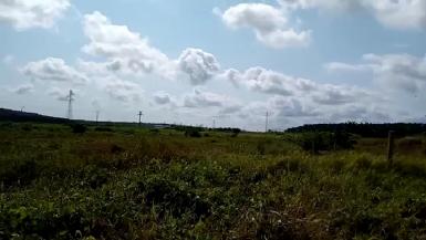 Abidjan immobilier | Terrain à vendre dans la zone de Grand-Bassam à 14 000 FCFA  | Abidjan-Immobilier.net