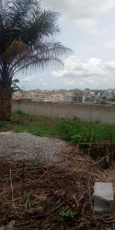 Abidjan immobilier | Terrain à vendre dans la zone de Cocody-Angré à 35 000 000 FCFA  | Abidjan-Immobilier.net